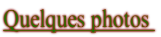 Quelques photos 

